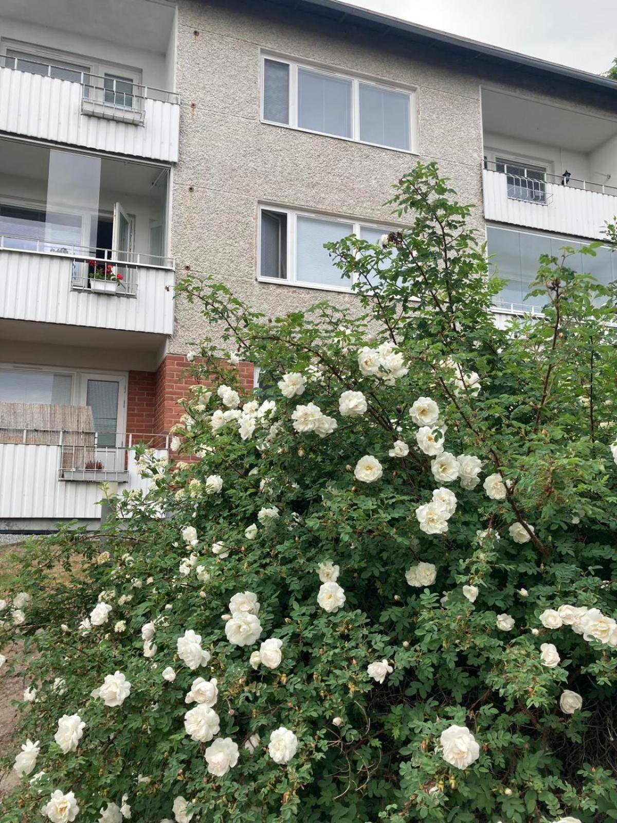 Korttelin Paeaessae Olavinlinnasta Apartment *